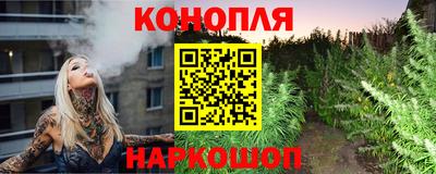 мдпв Ярославль