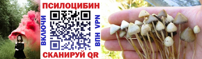Галлюциногенные грибы GOLDEN TEACHER  Смоленск 