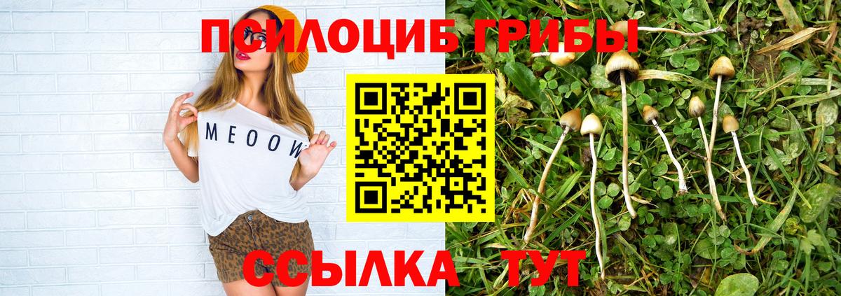 Галлюциногенные грибы прущие грибы Смоленск